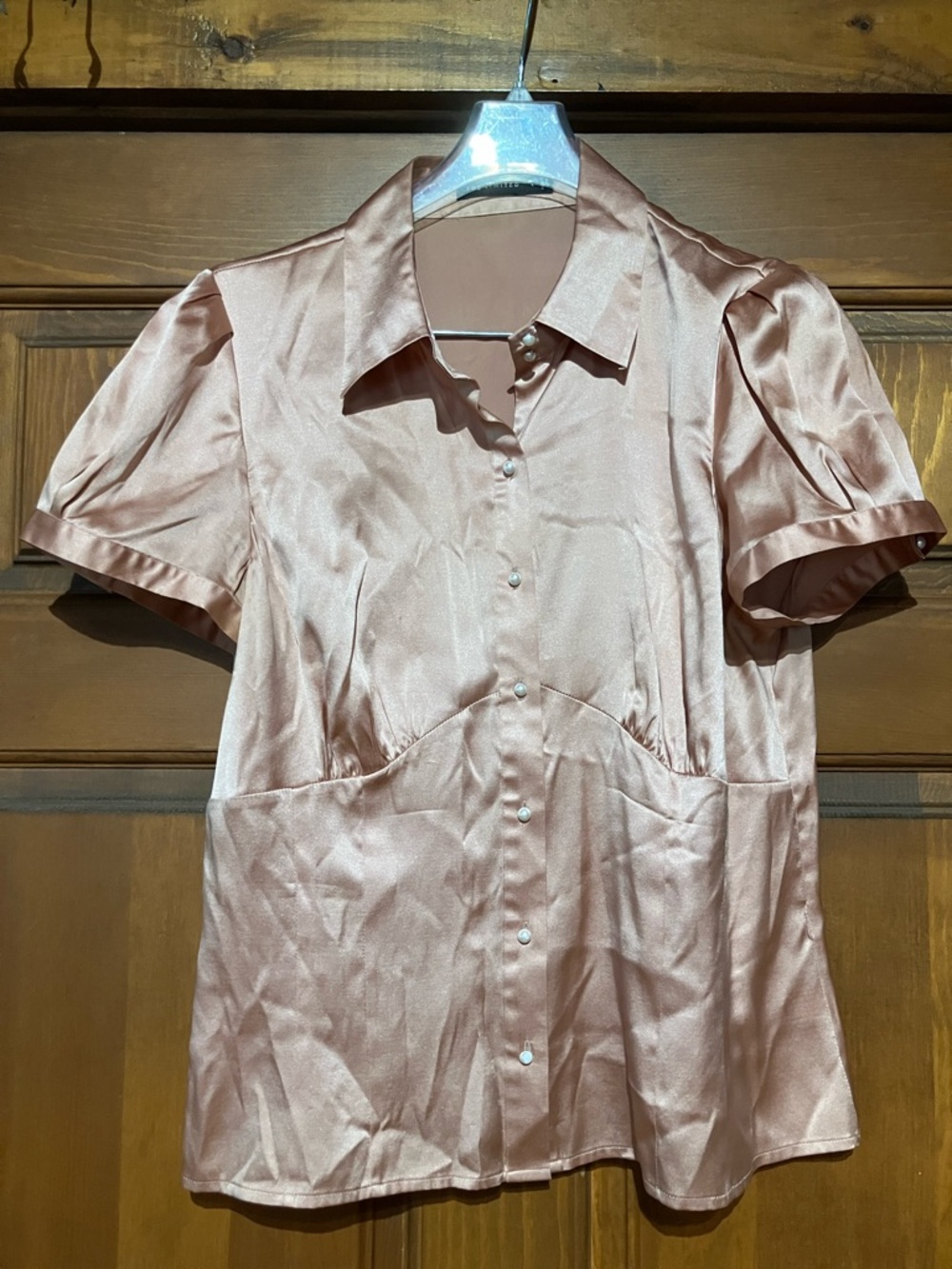 The Limited Satin Short-Sleeve Button-Up Blouse in Dusty Rose